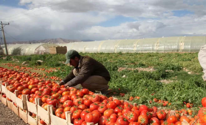 مدار الساعة,أخبار الأردن,اخبار الاردن