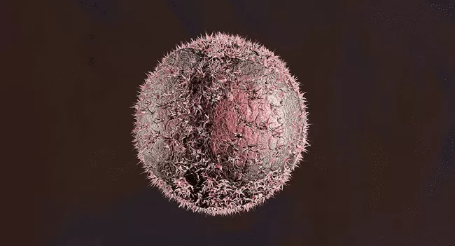 مدار الساعة,أخبار خفيفة ومنوعة