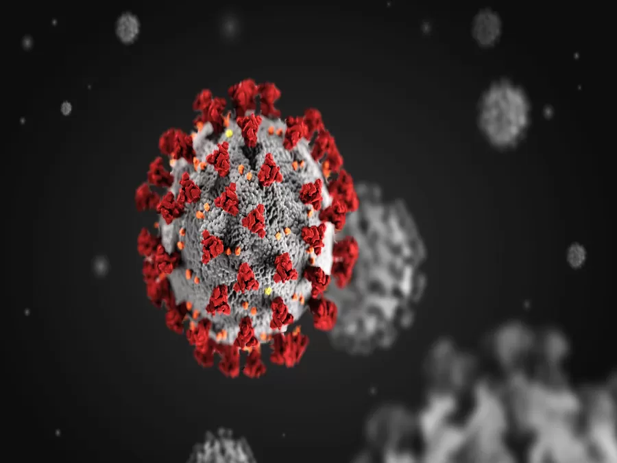 مدار الساعة,أخبار عربية ودولية,كورونا