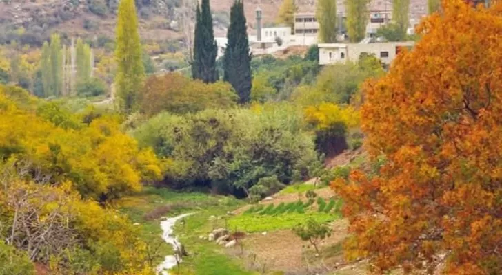 مدار الساعة,أخبار الأردن,اخبار الاردن,درجات الحرارة
