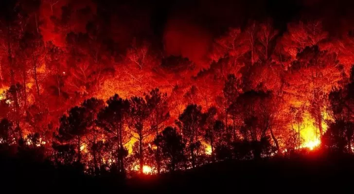 مدار الساعة,Video,فيديو,أخبار عربية ودولية,الجيش العربي