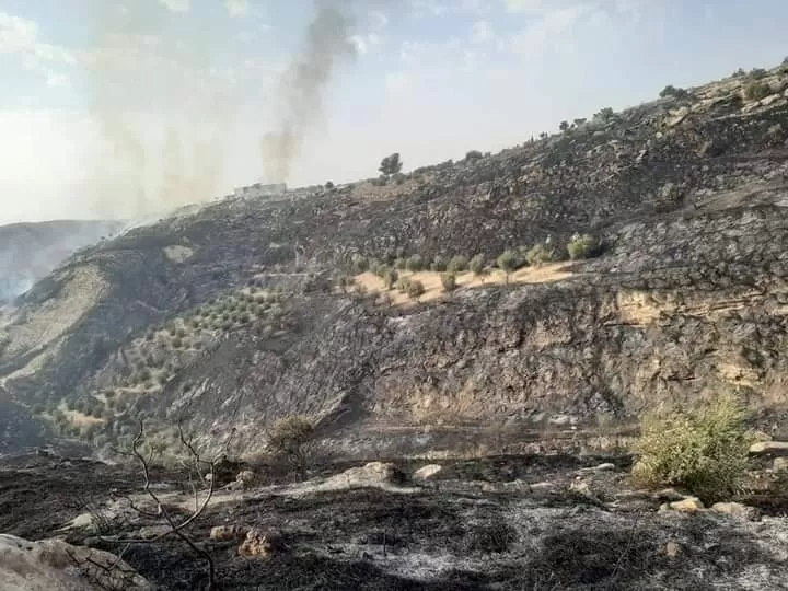 مدار الساعة,أخبار الأردن,اخبار الاردن,الدفاع المدني