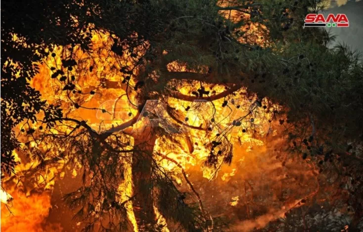 مدار الساعة,أخبار عربية ودولية,وزارة الصحة,وزارة الداخلية,الدفاع المدني,درجات الحرارة