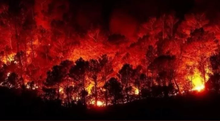 مدار الساعة,أخبار عربية ودولية,وزير الزراعة,وزارة الصحة,الدفاع المدني,درجات الحرارة,مواقع التواصل الاجتماعي