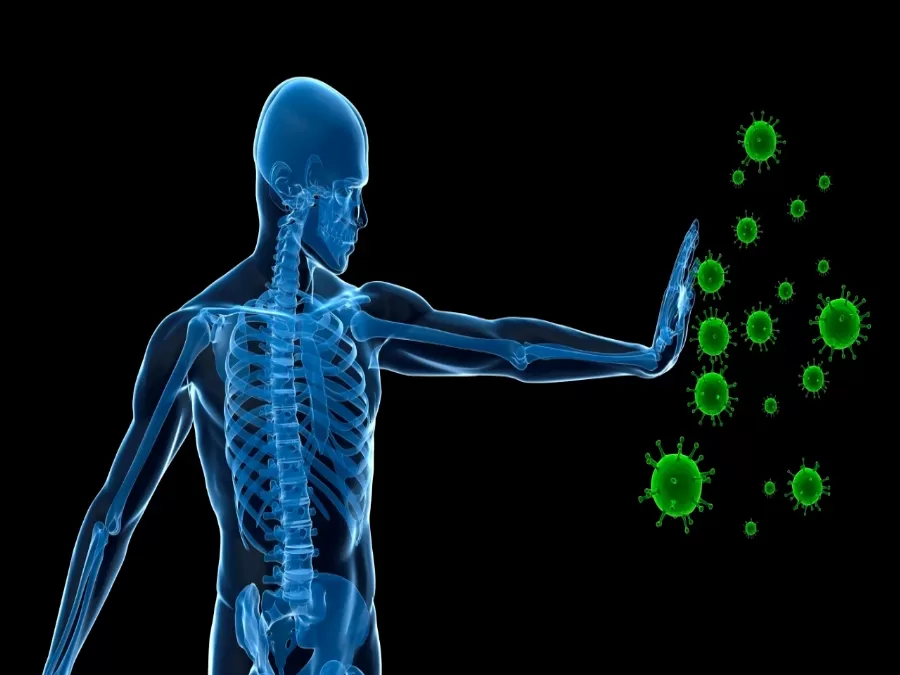 مدار الساعة,أخبار خفيفة ومنوعة,كورونا,منظمة الصحة العالمية