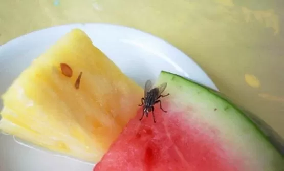 مدار الساعة,أخبار خفيفة ومنوعة