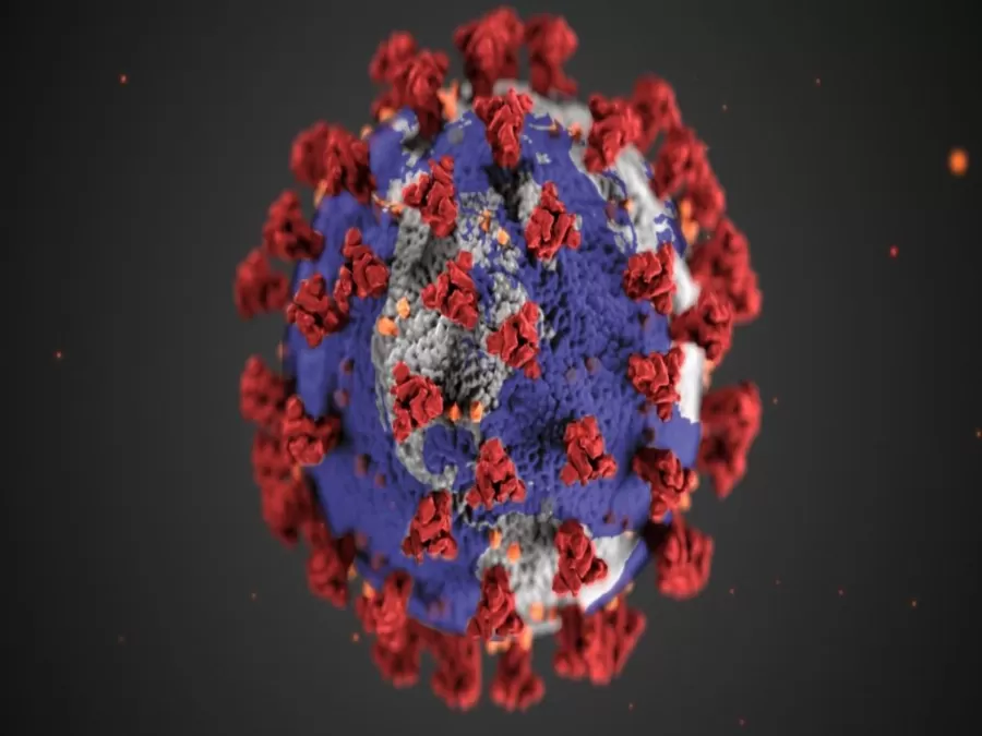 مدار الساعة,أخبار خفيفة ومنوعة,كورونا