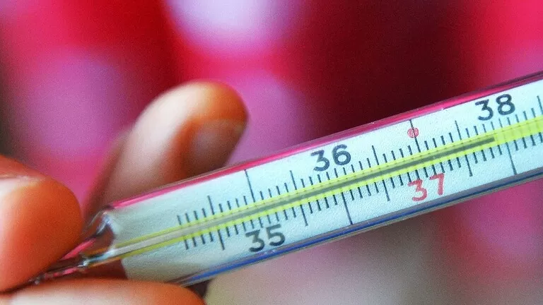 مدار الساعة,أخبار خفيفة ومنوعة