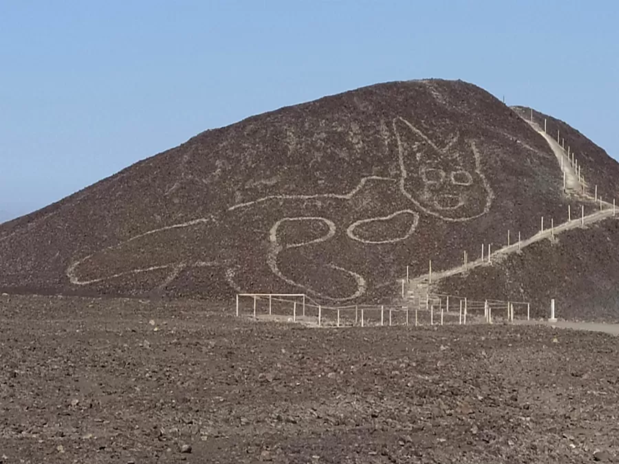 مدار الساعة,أخبار الجامعات الأردنية,وزارة الثقافة,الأمم المتحدة