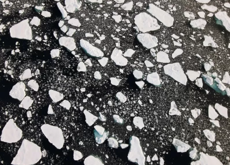 مدار الساعة,أخبار عربية ودولية