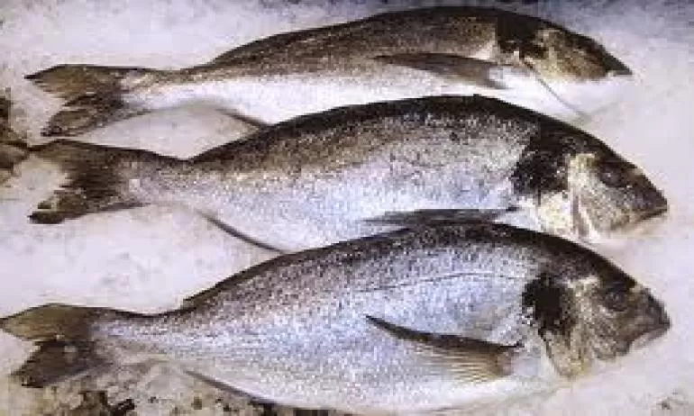 مدار الساعة,أخبار الأردن,اخبار الاردن