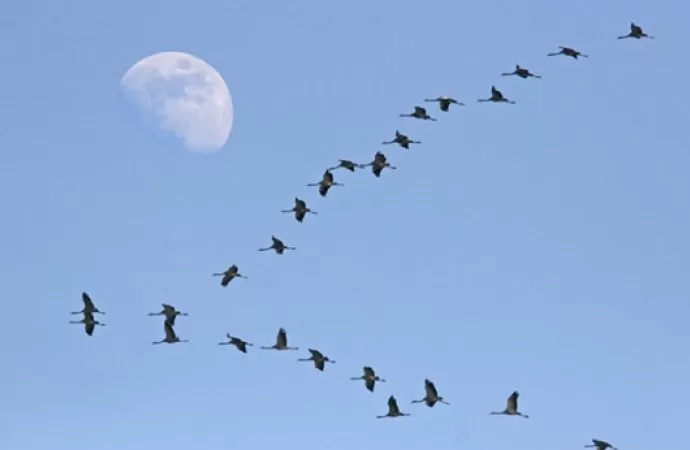 مدار الساعة,أخبار الأردن,اخبار الاردن