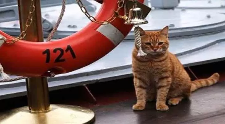 مدار الساعة,أخبار خفيفة ومنوعة