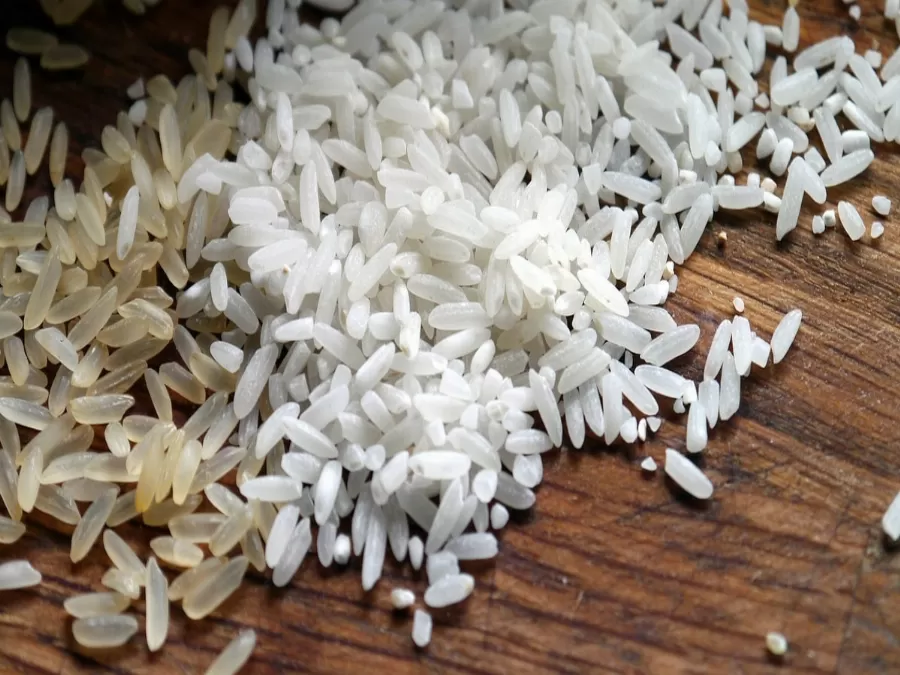 مدار الساعة,أخبار الأردن,اخبار الاردن,المؤسسة العامة للغذاء والدواء