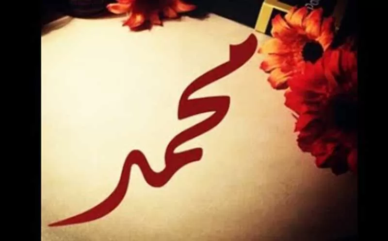 مدار الساعة,أخبار خفيفة ومنوعة,المولد النبوي الشريف