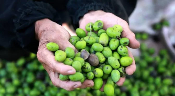 مدار الساعة,أخبار الأردن,اخبار الاردن