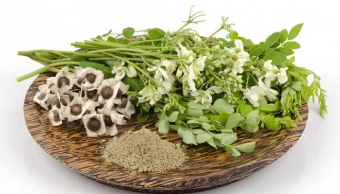 مدار الساعة,أخبار ثقافية,كورونا,وزارة التربية والتعليم,الإمارات العربية المتحدة