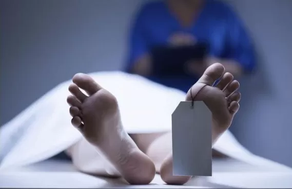 مدار الساعة,أخبار الأردن,اخبار الاردن,البحث الجنائي