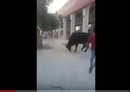 مدار الساعة,Video,فيديو,أخبار الأردن,اخبار الاردن,مواقع التواصل الاجتماعي