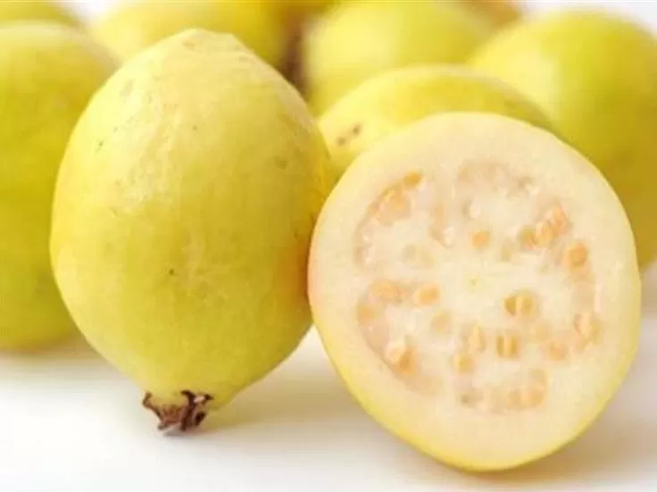 مدار الساعة,أخبار الأردن,اخبار الاردن,وزارة الزراعة,مواقع التواصل الاجتماعي