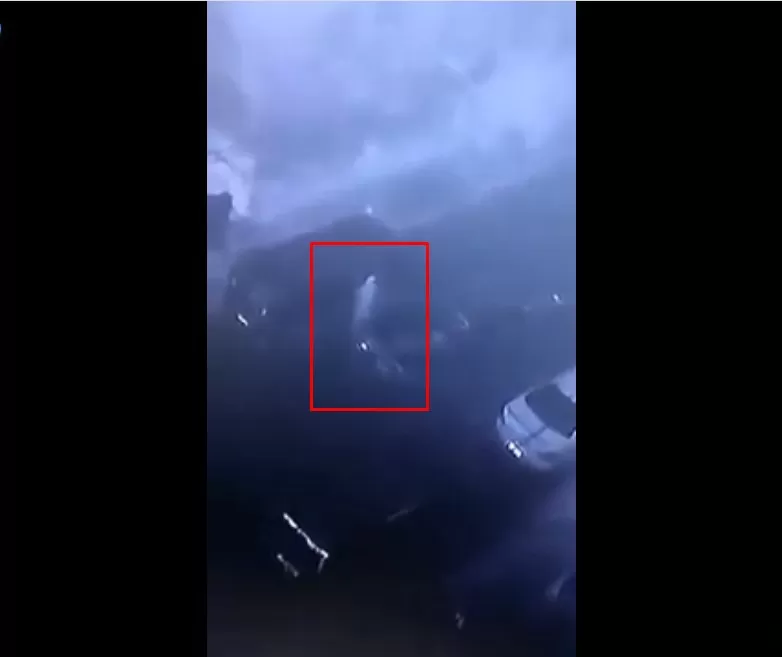 مدار الساعة,Video,فيديو,أخبار الأردن,اخبار الاردن,كورونا