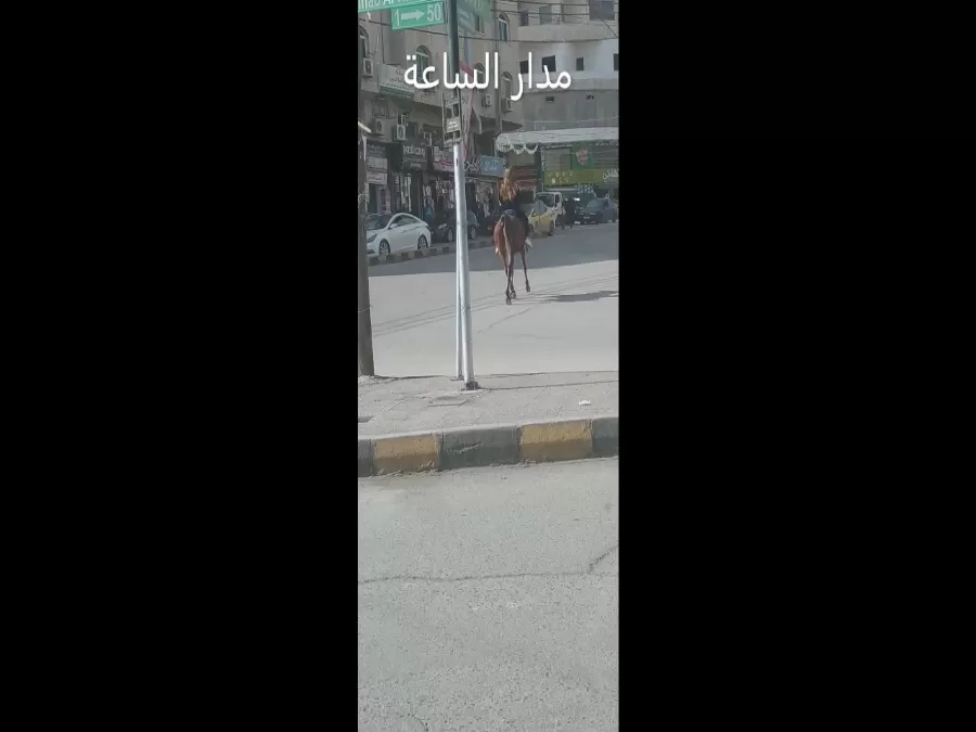 مدار الساعة,Video,فيديو,أخبار الأردن,اخبار الاردن,مواقع التواصل الاجتماعي