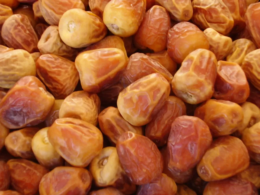 مدار الساعة,أخبار الأردن,اخبار الاردن