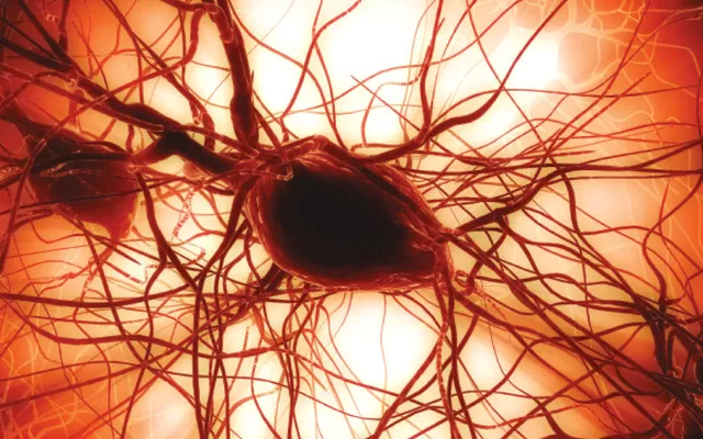 مدار الساعة,أخبار خفيفة ومنوعة,وزارة الصناعة والتجارة,وزارة الصحة,وزارة الصناعة,مجلس النواب,المملكة العربية السعودية