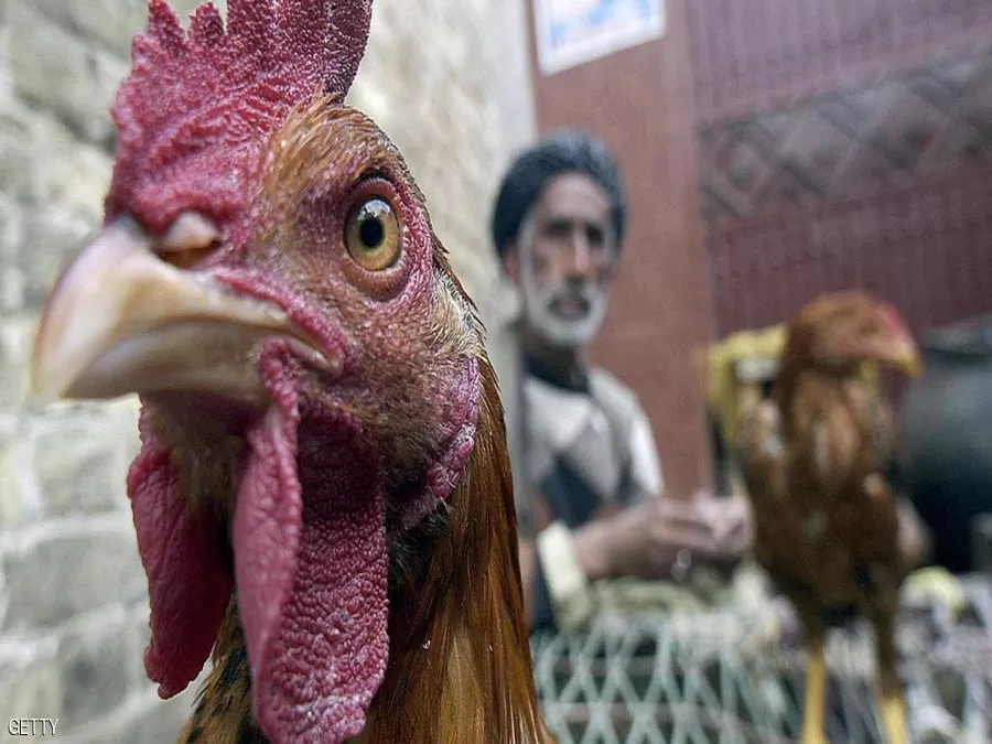 مدار الساعة,أخبار عربية ودولية,وزارة الزراعة