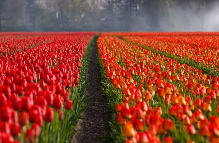 مدار الساعة,أخبار خفيفة ومنوعة,درجات الحرارة