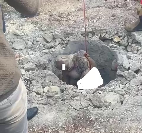 مدار الساعة,Video,فيديو,أخبار الأردن,اخبار الاردن,الضفة الغربية
