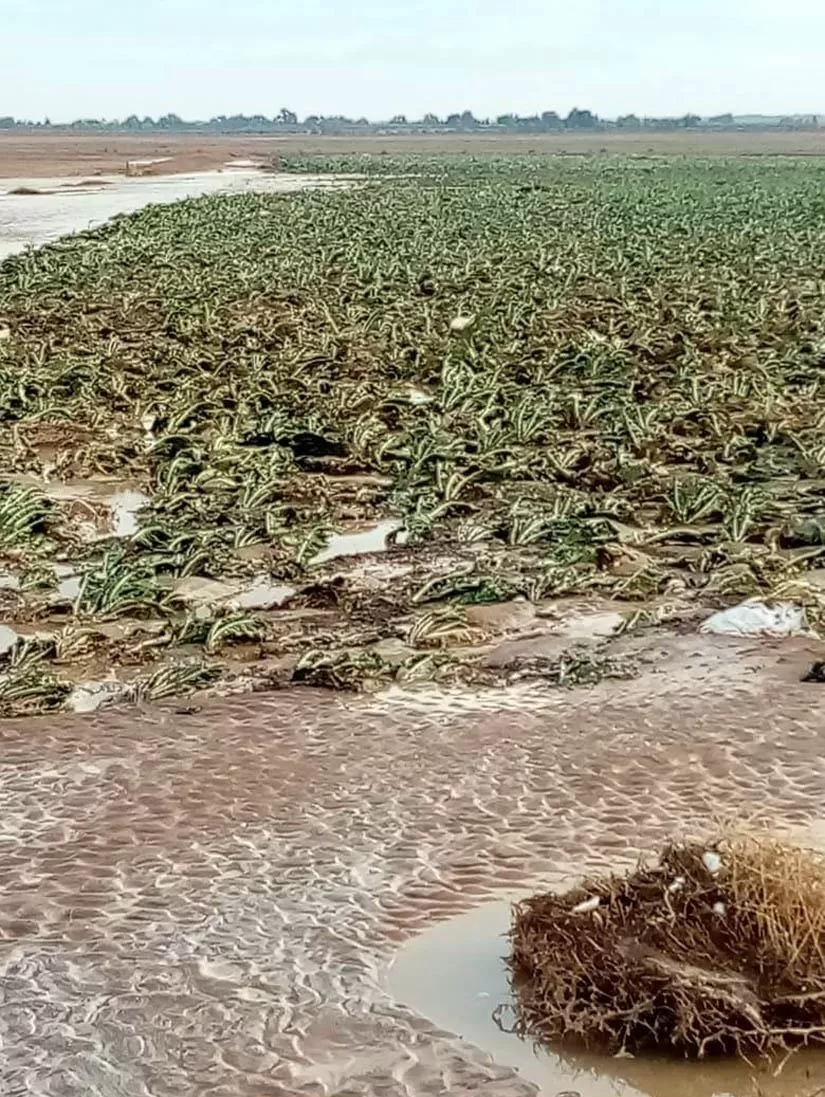 مدار الساعة,Video,فيديو,أخبار الأردن,اخبار الاردن