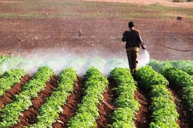 مدار الساعة,أخبار الأردن,اخبار الاردن,رئيس الوزراء,الإقراض الزراعي