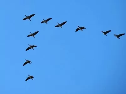 مدار الساعة,مقالات