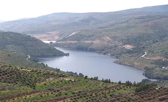 مدار الساعة,أخبار الأردن,اخبار الاردن,وزير المياه والري