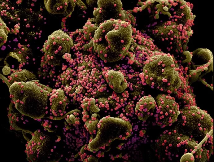 مدار الساعة,أخبار عربية ودولية,كورونا,رئيس الوزراء