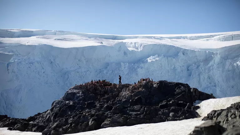 مدار الساعة,أخبار عربية ودولية,كورونا