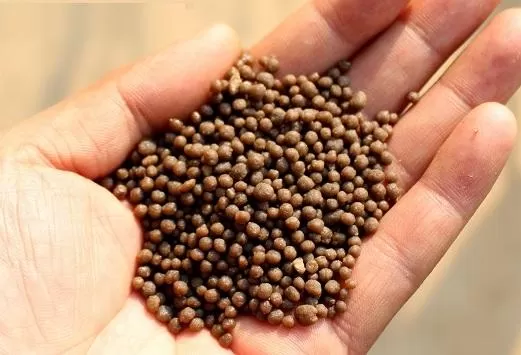 مدار الساعة,أخبار اقتصادية