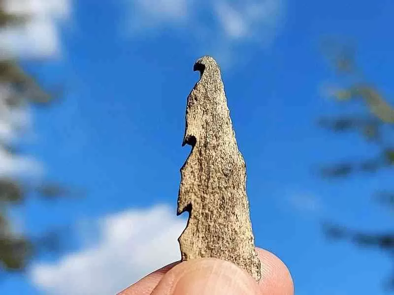 مدار الساعة,أخبار ثقافية