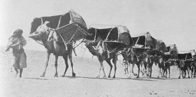 مدار الساعة,أخبار ثقافية,المسجد الأقصى