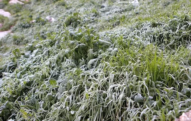 مدار الساعة,أخبار اقتصادية,وزير الزراعة