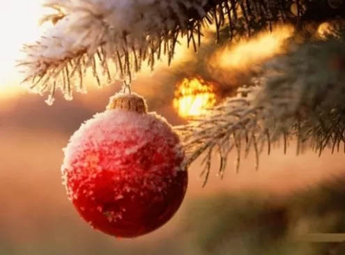 مدار الساعة,أخبار المجتمع الأردني