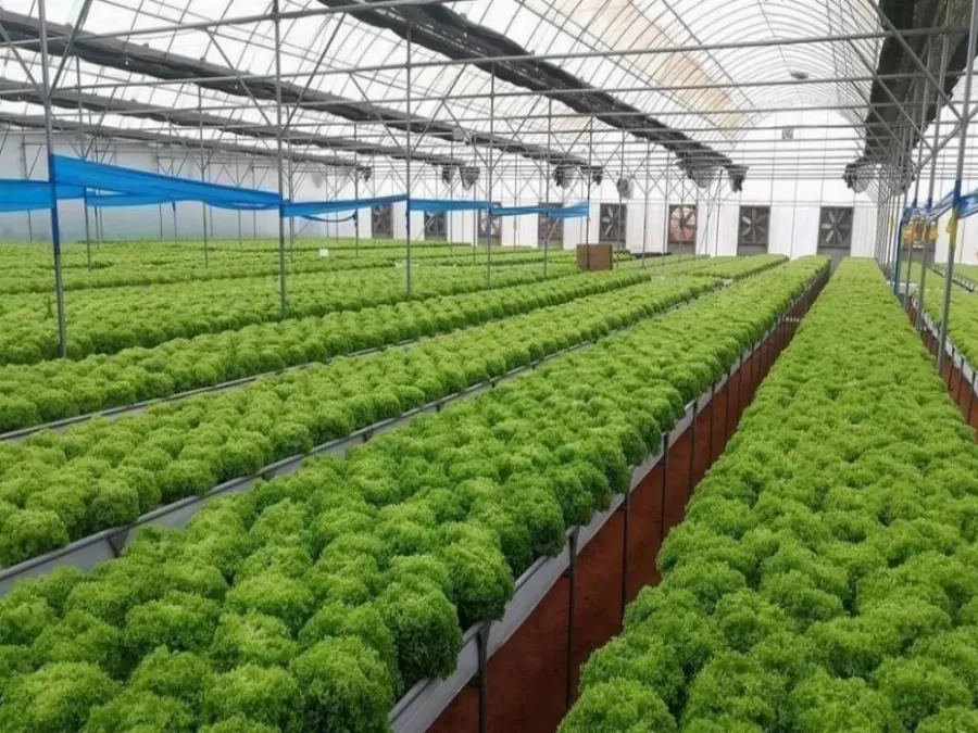 مدار الساعة,أخبار عربية ودولية,وزارة الزراعة,وزارة التخطيط والتعاون الدولي,التنمية الاجتماعية,وزارة التخطيط