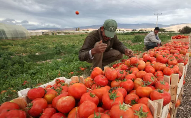 مدار الساعة,أخبار الأردن,اخبار الاردن,وزير العمل