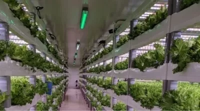 مدار الساعة,أخبار اقتصادية,الذكاء الاصطناعي