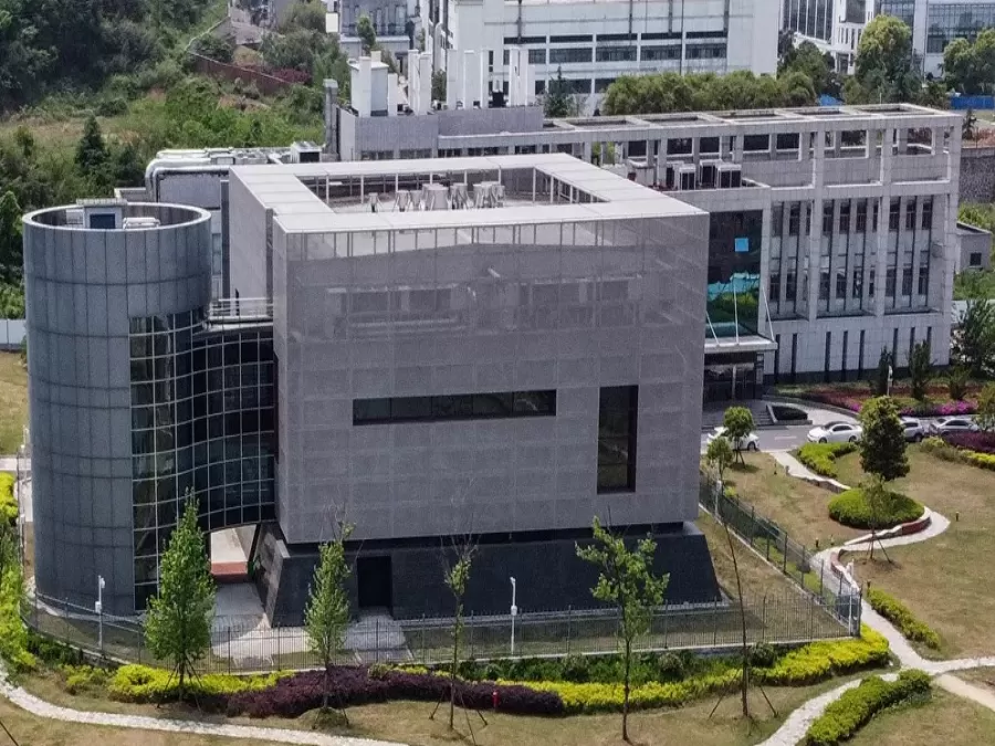 مدار الساعة,أخبار عربية ودولية,كورونا,منظمة الصحة العالمية