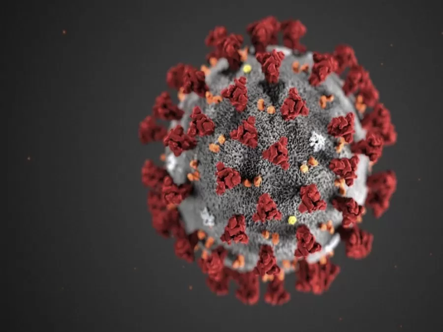مدار الساعة,أخبار عربية ودولية,كورونا,وزارة الصحة