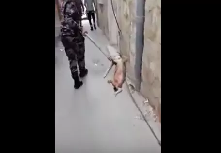 مدار الساعة,Video,فيديو,أخبار الأردن,اخبار الاردن,الدفاع المدني