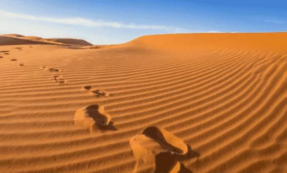 مدار الساعة,أخبار خفيفة ومنوعة