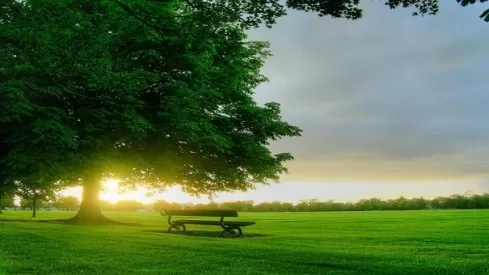 مدار الساعة,أخبار ثقافية